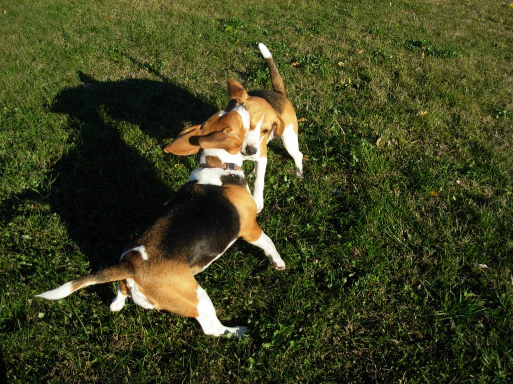 Teo e Nike
